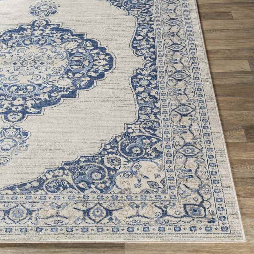 Stiem Traditional Navy Area Rug