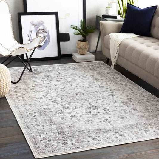 Terband Traditional Light Gray Area Rug