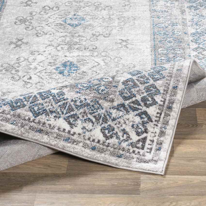Terhorne Traditional Taupe/Blue Area Rug