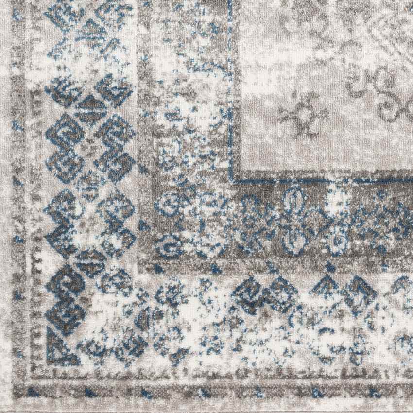 Terhorne Traditional Taupe/Blue Area Rug