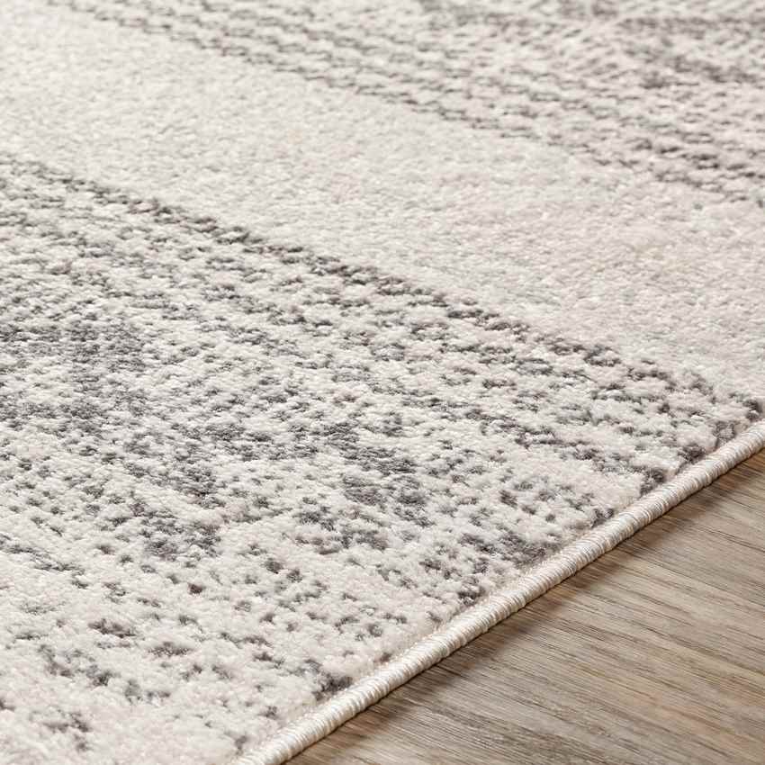 Tietjerk Global Light Gray Area Rug
