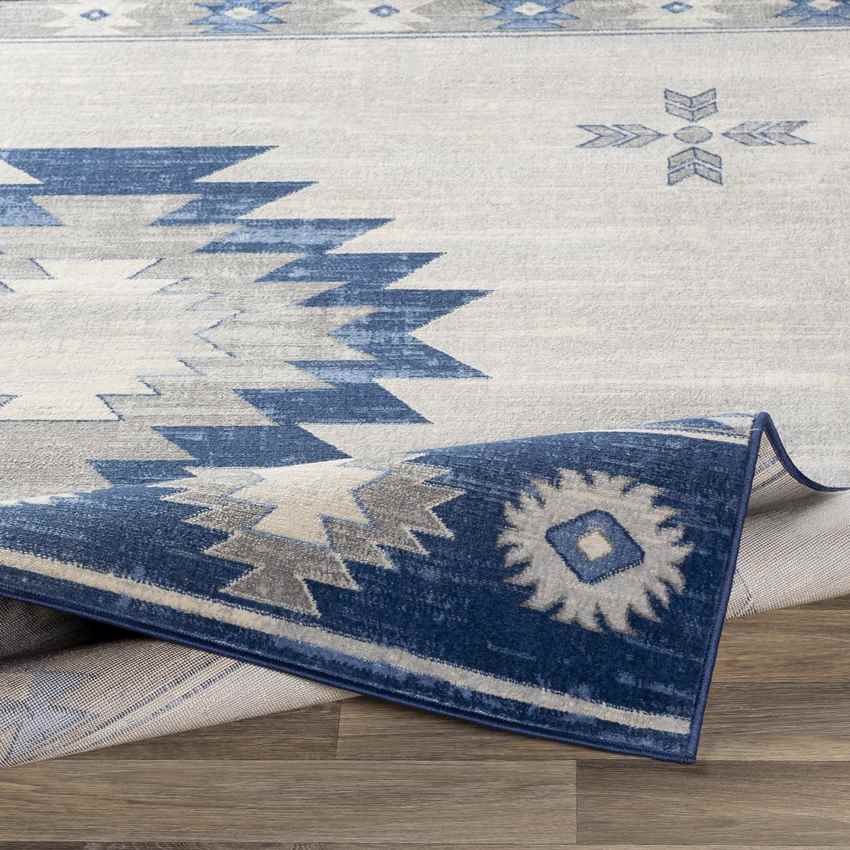 Tjeintgum Rustic Navy Area Rug