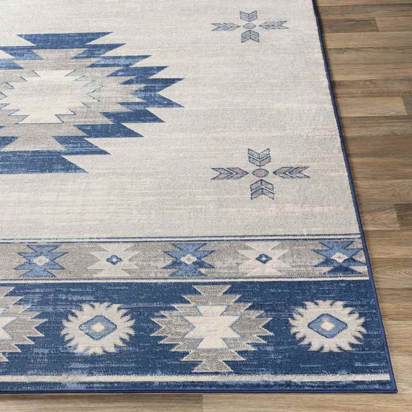 Tjeintgum Rustic Navy Area Rug