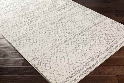 Trophorne Global Medium Gray Area Rug