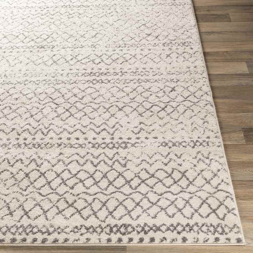 Trophorne Global Medium Gray Area Rug