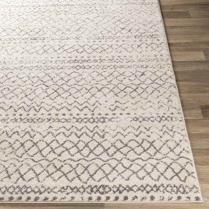 Trophorne Global Medium Gray Area Rug
