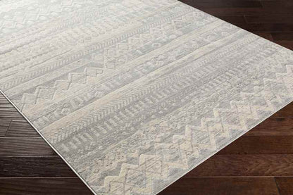 Vijfhuis Global Light Gray Area Rug