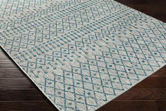 Wijns Global Aqua Area Rug
