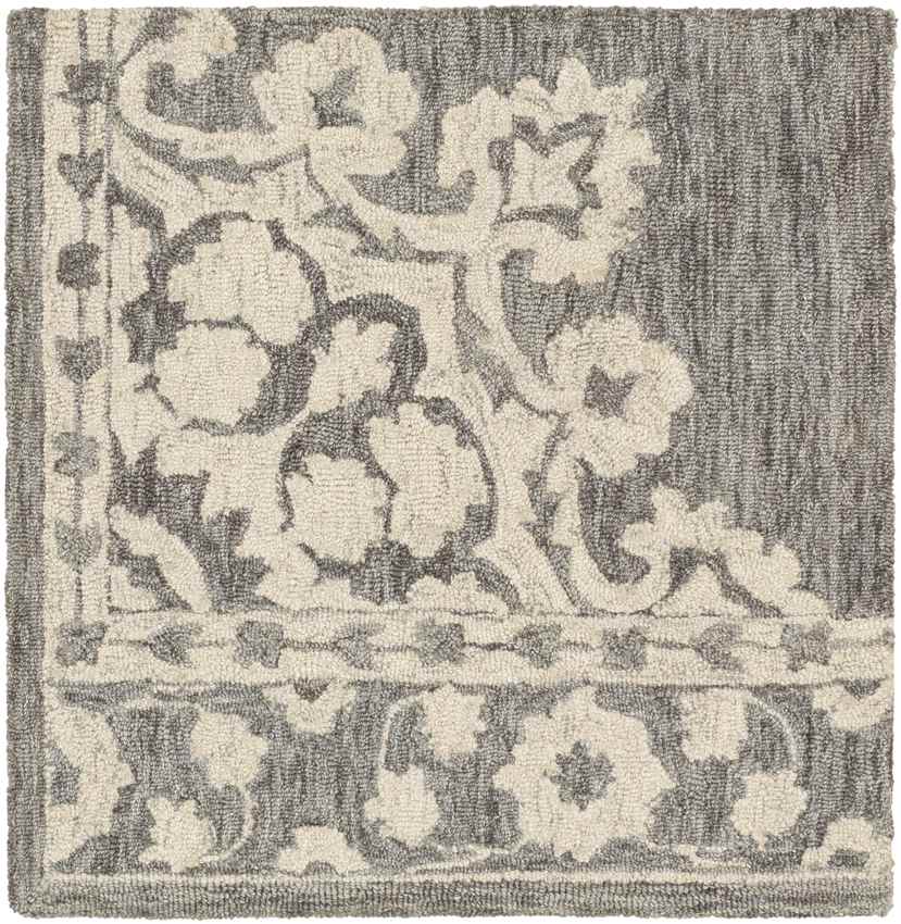 Witveen Traditional Medium Gray Area Rug