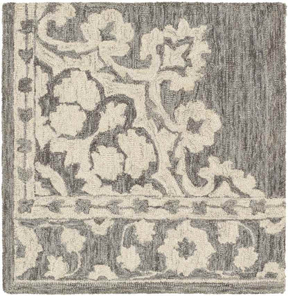 Witveen Traditional Medium Gray Area Rug