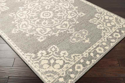 Witveen Traditional Medium Gray Area Rug