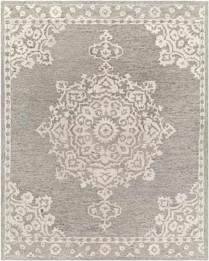 Witveen Traditional Medium Gray Area Rug