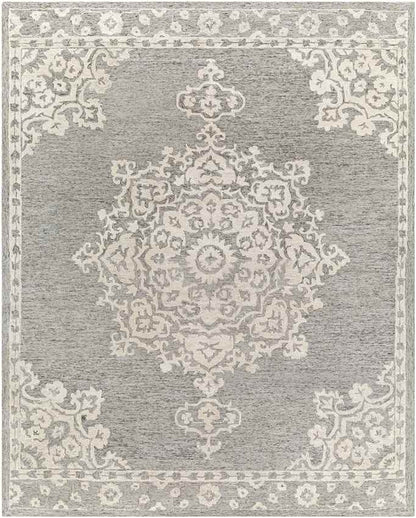 Witveen Traditional Medium Gray Area Rug