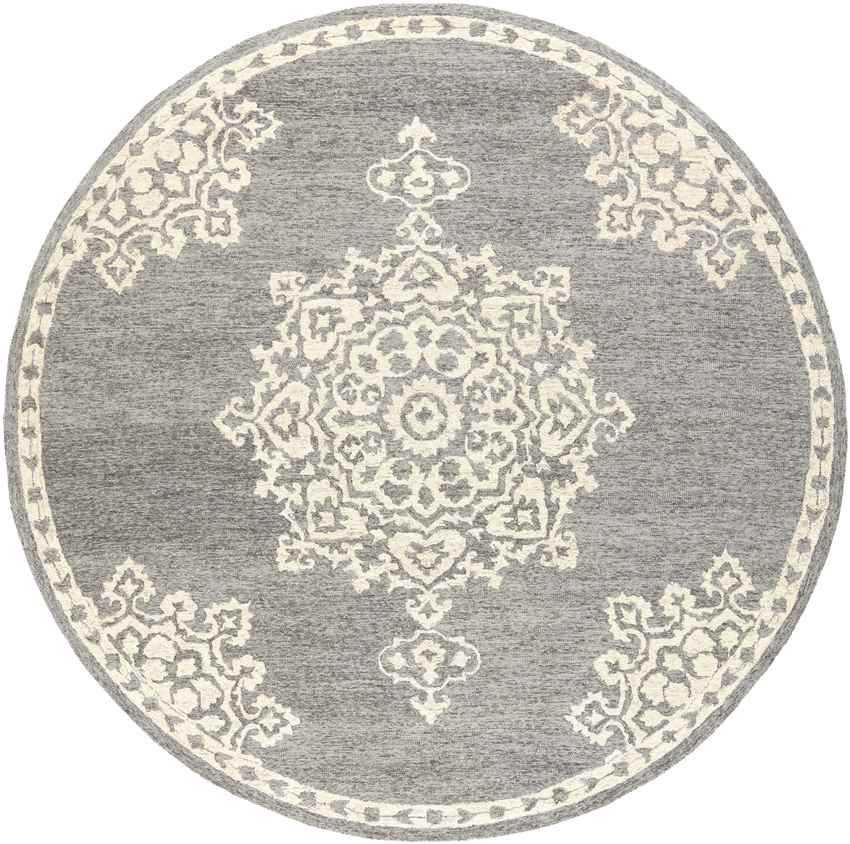 Witveen Traditional Medium Gray Area Rug