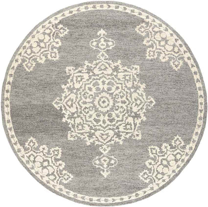 Witveen Traditional Medium Gray Area Rug