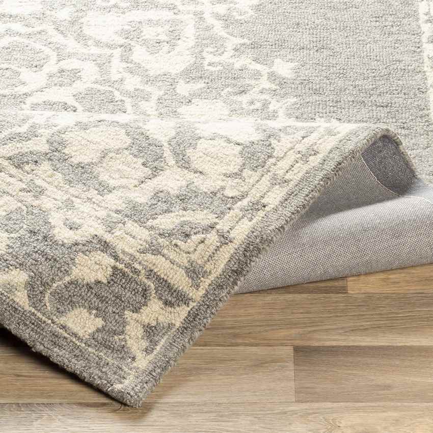 Witveen Traditional Medium Gray Area Rug