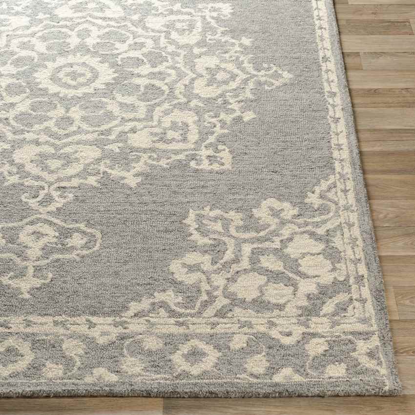 Witveen Traditional Medium Gray Area Rug