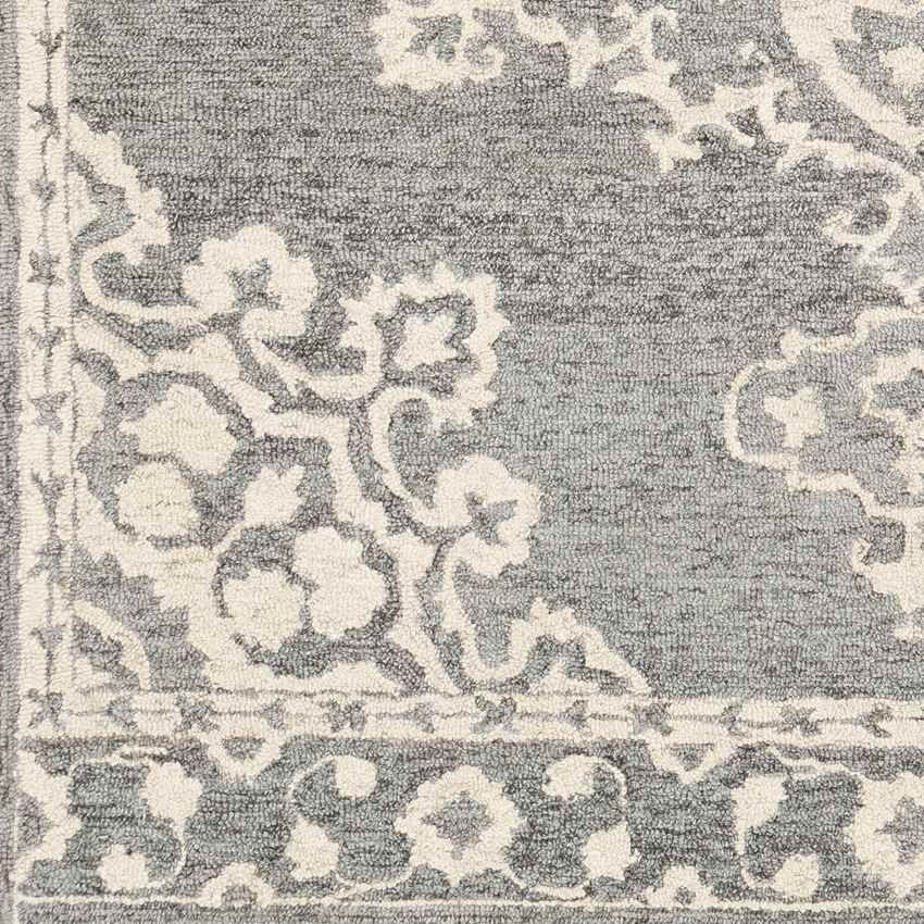 Witveen Traditional Medium Gray Area Rug