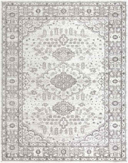 Workum Traditional Light Gray Area Rug