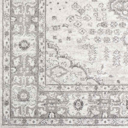 Workum Traditional Light Gray Area Rug