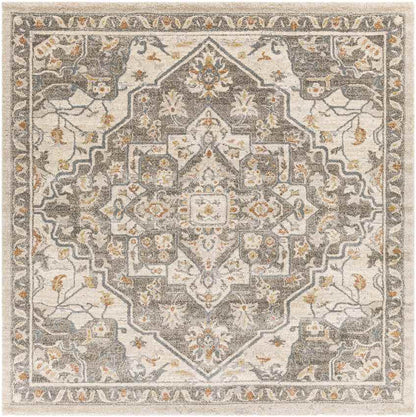Anreep Traditional Dark Brown Area Rug
