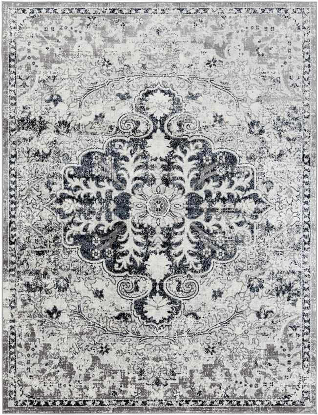 Cenon Traditional Aqua Area Rug