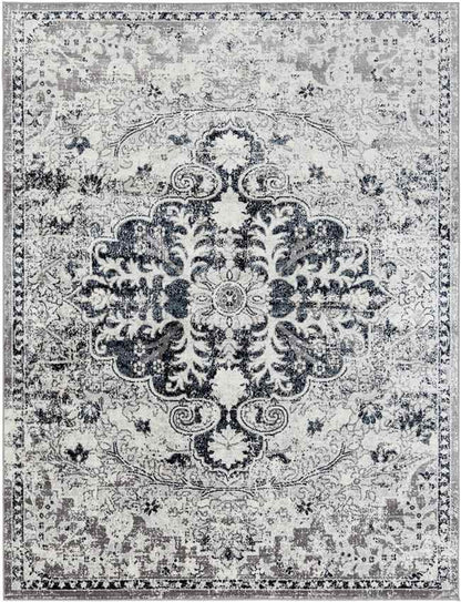 Cenon Traditional Aqua Area Rug