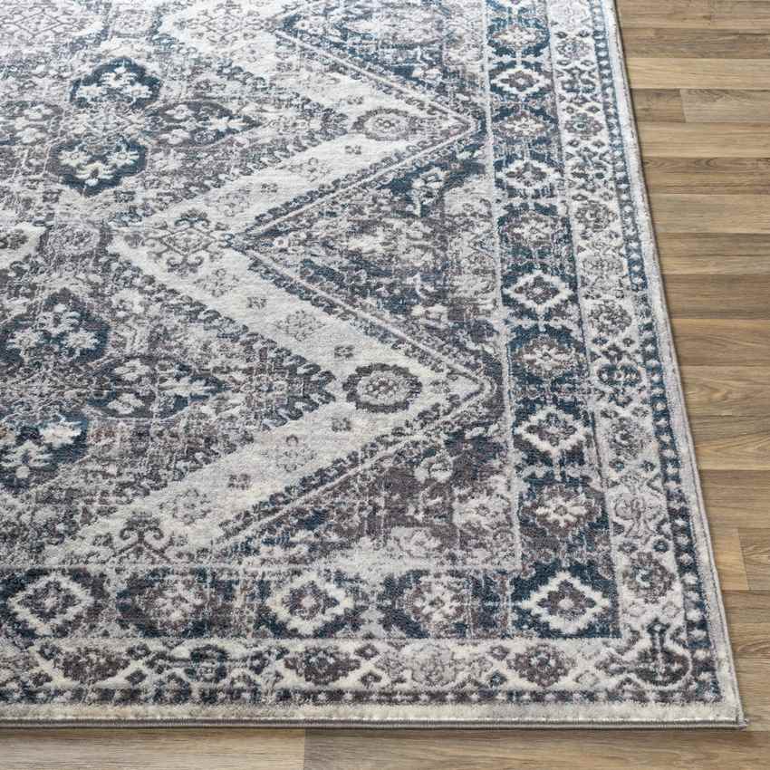 Balloo Global Silver Gray Area Rug