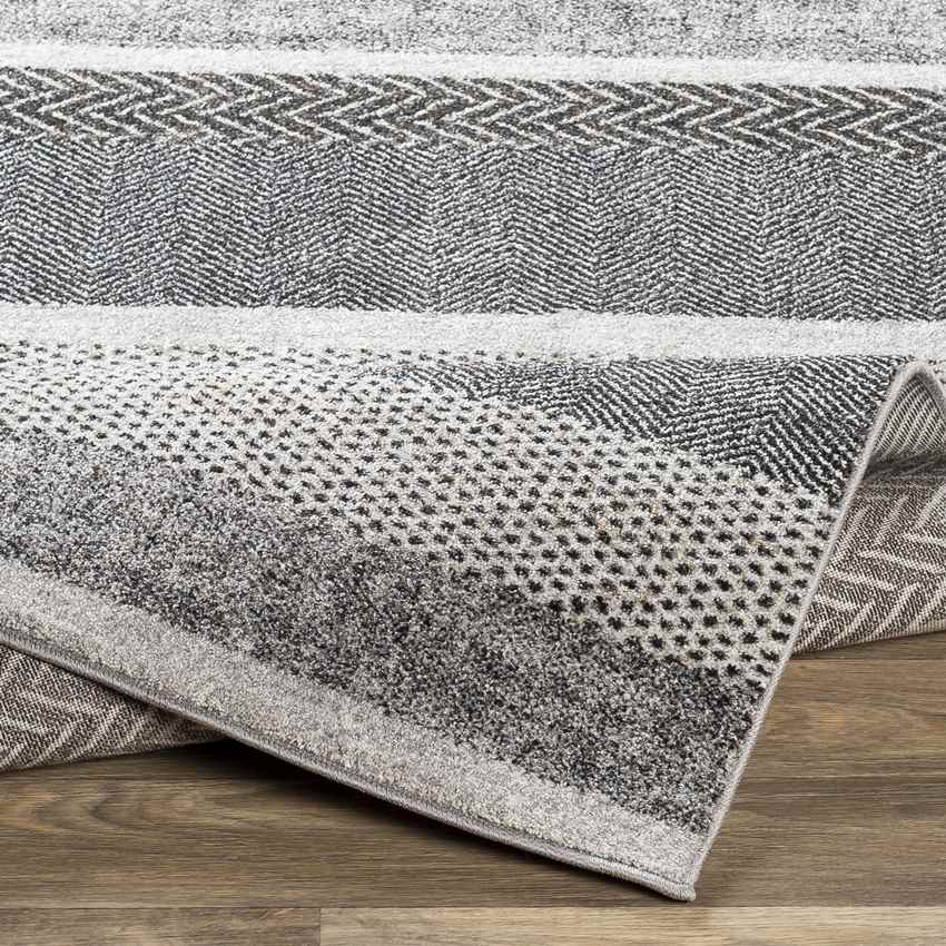 Bloemberg Modern Black Area Rug