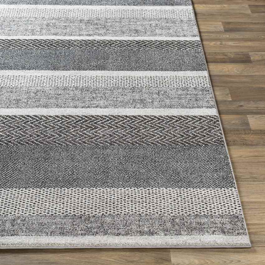 Bloemberg Modern Black Area Rug