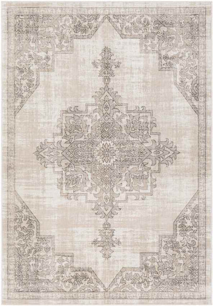 Dalerveen Traditional Light Gray Area Rug