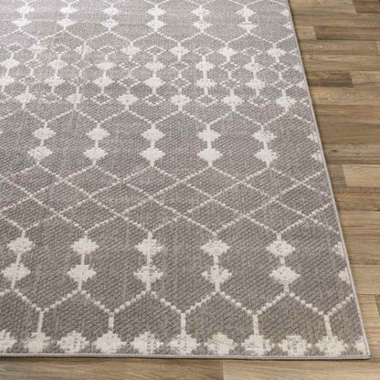 Donderen Global Light Gray Area Rug
