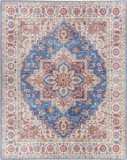 Landes Traditional Garnet Area Rug