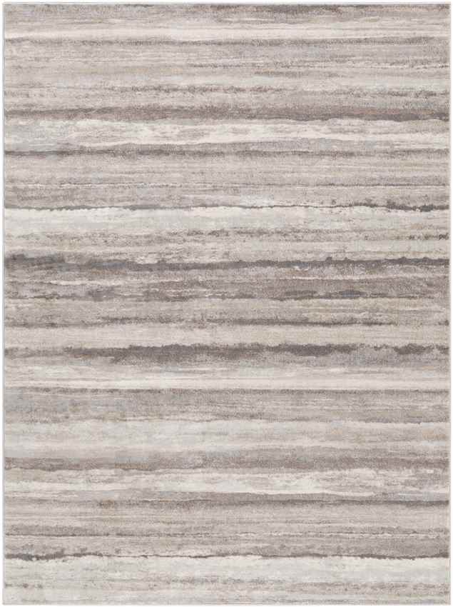 Ermerveen Modern Medium Gray Area Rug