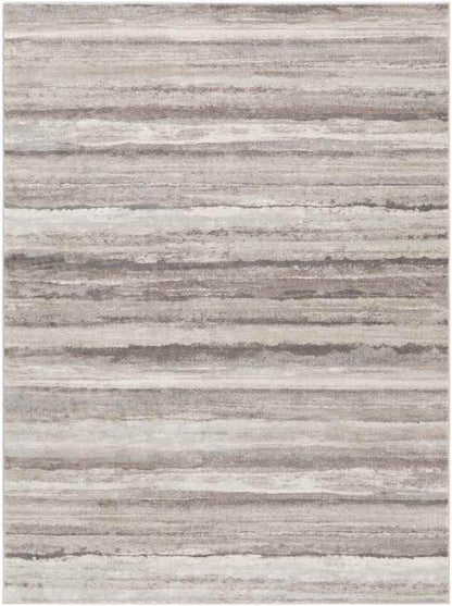 Ermerveen Modern Medium Gray Area Rug