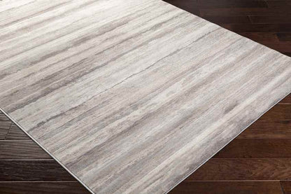 Ermerveen Modern Medium Gray Area Rug
