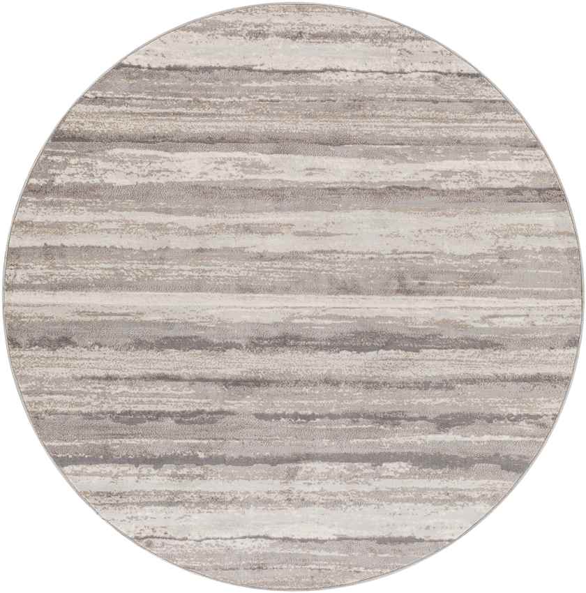 Ermerveen Modern Medium Gray Area Rug