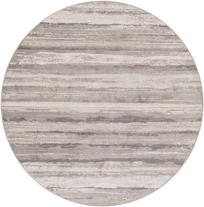 Ermerveen Modern Medium Gray Area Rug