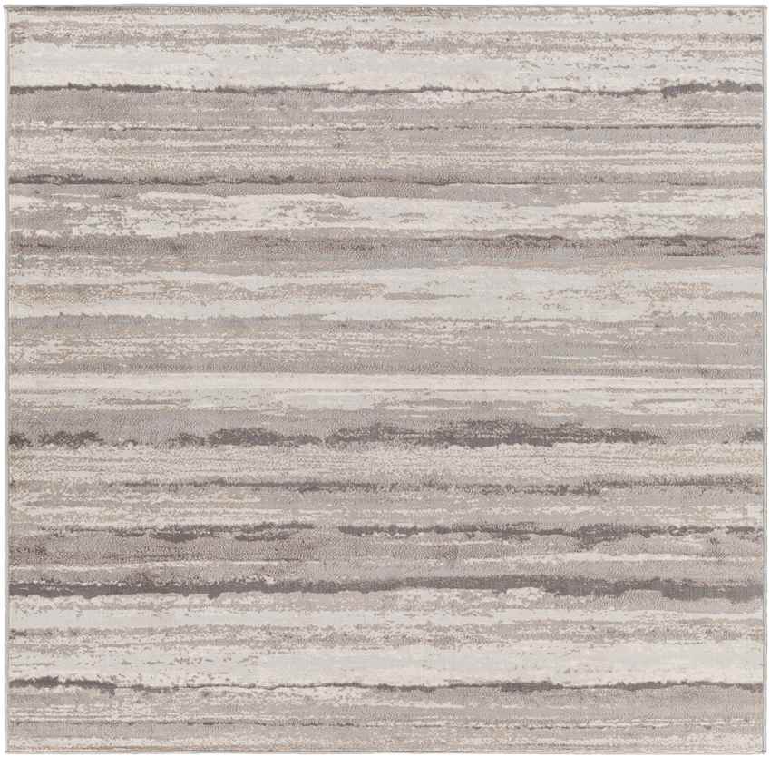 Ermerveen Modern Medium Gray Area Rug