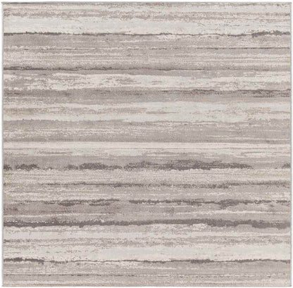 Ermerveen Modern Medium Gray Area Rug