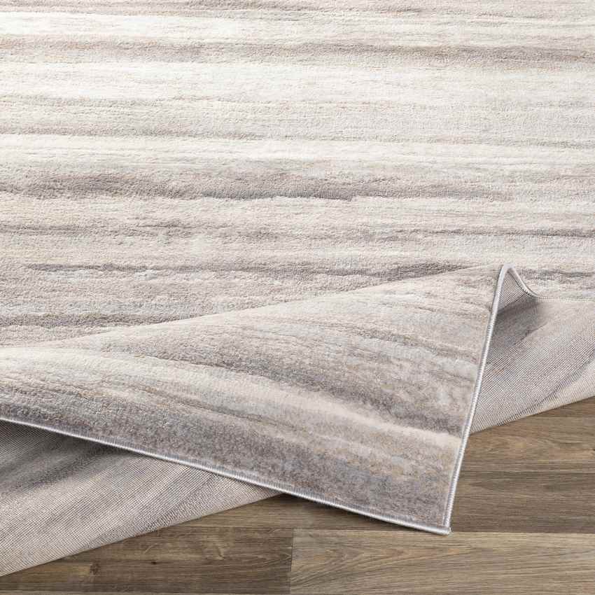 Ermerveen Modern Medium Gray Area Rug