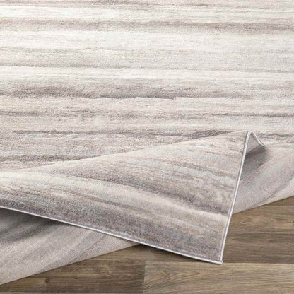 Ermerveen Modern Medium Gray Area Rug