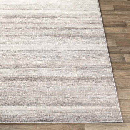 Ermerveen Modern Medium Gray Area Rug