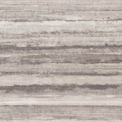 Ermerveen Modern Medium Gray Area Rug