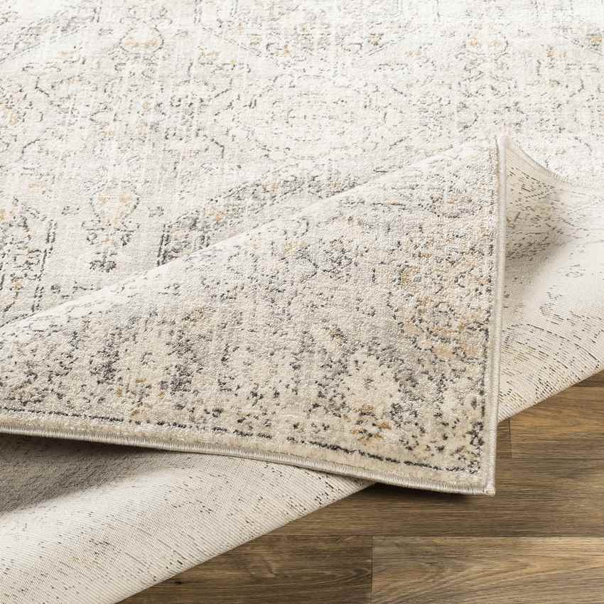Geelbroek Traditional Tan/Ivory Area Rug