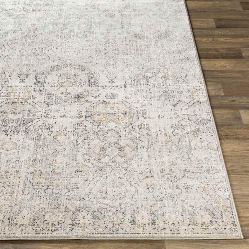 Geelbroek Traditional Tan/Ivory Area Rug