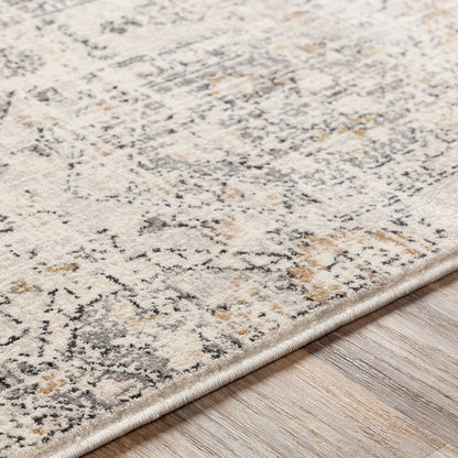 Geelbroek Traditional Tan/Ivory Area Rug