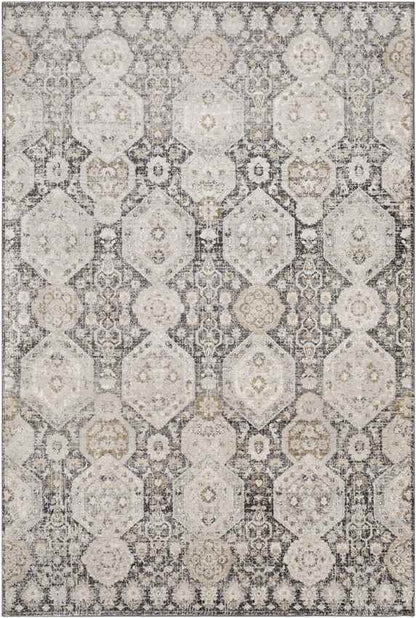 Geelbroek Traditional Black Area Rug
