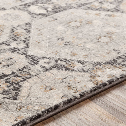 Geelbroek Traditional Black Area Rug