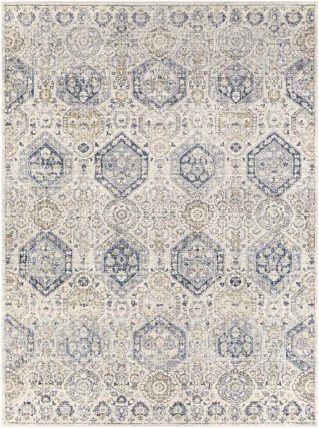 Geelbroek Traditional Bright Blue Area Rug